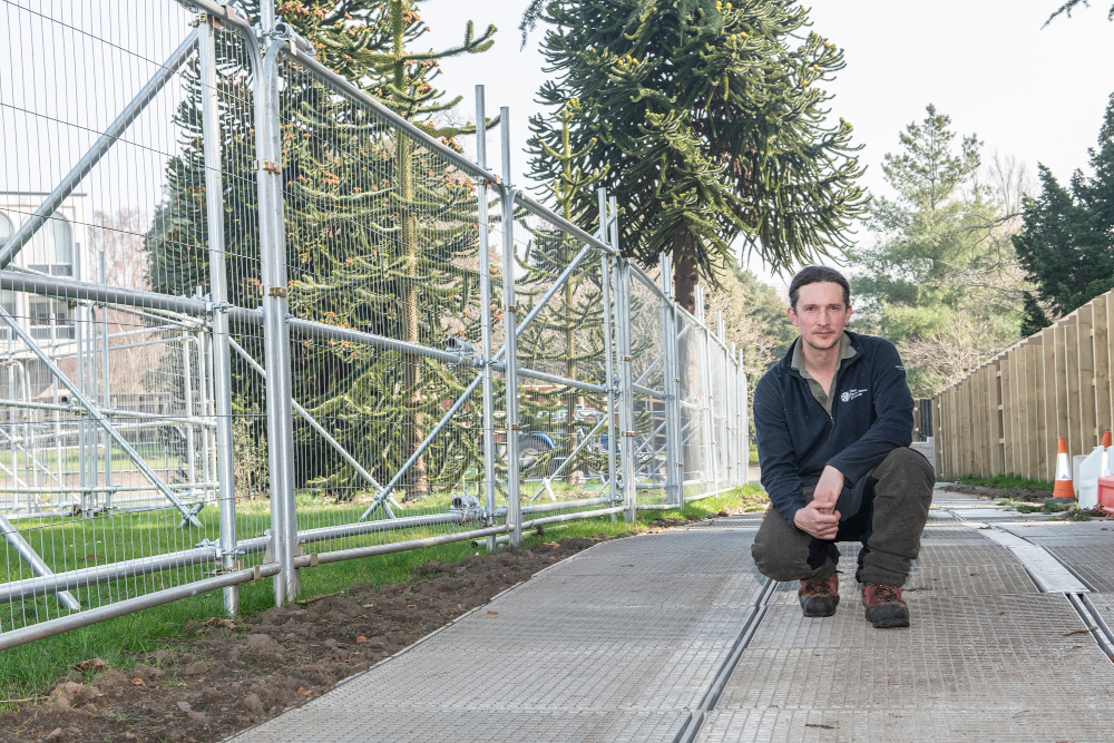 Balfour Beatty works to protect trees at Royal Botanic Garden Edinburgh