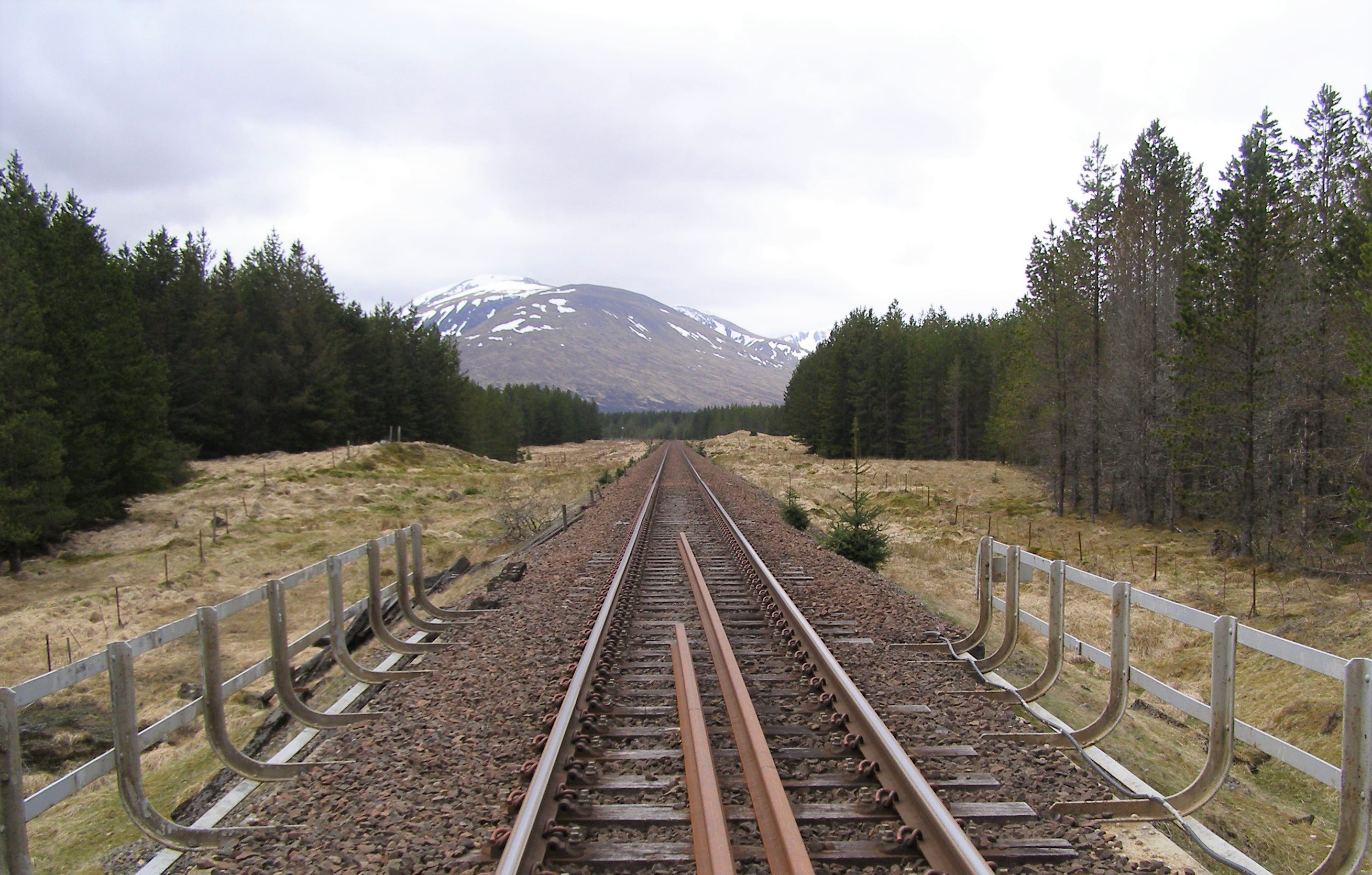 Rannoch timber rail project 'on track' with Memorandum of Understanding
