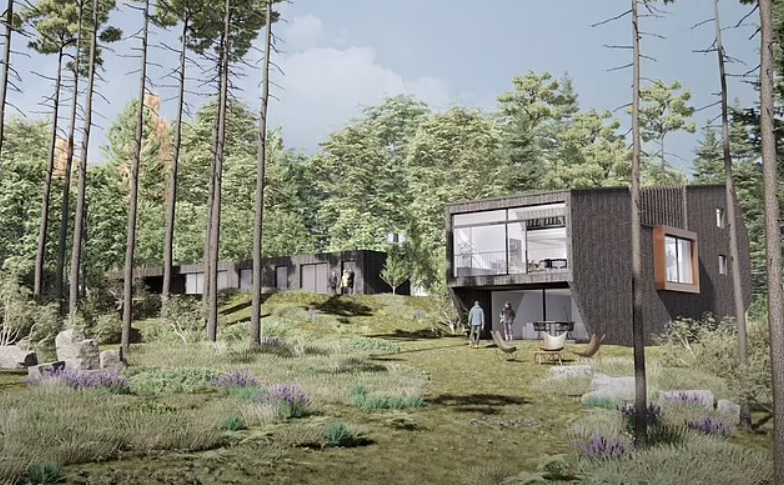 Green light for woodland cabins at Andy Murray's hotel