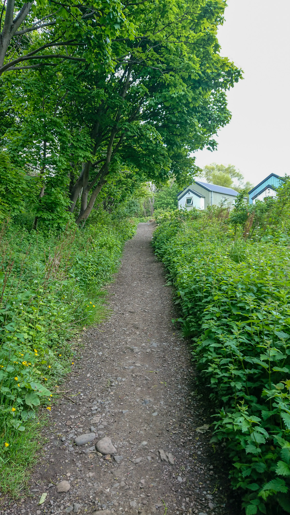 Transformed Granton walking and cycling path named after explorer