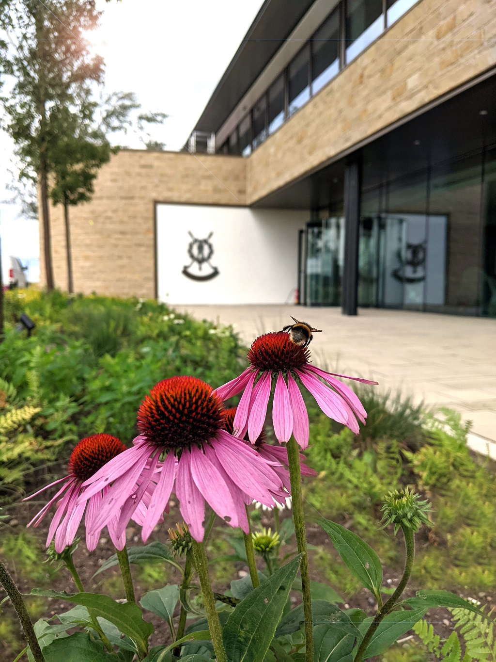 Architects' Showcase: Landscaping at St Andrews Links Trust headquarters by HarrisonStevens