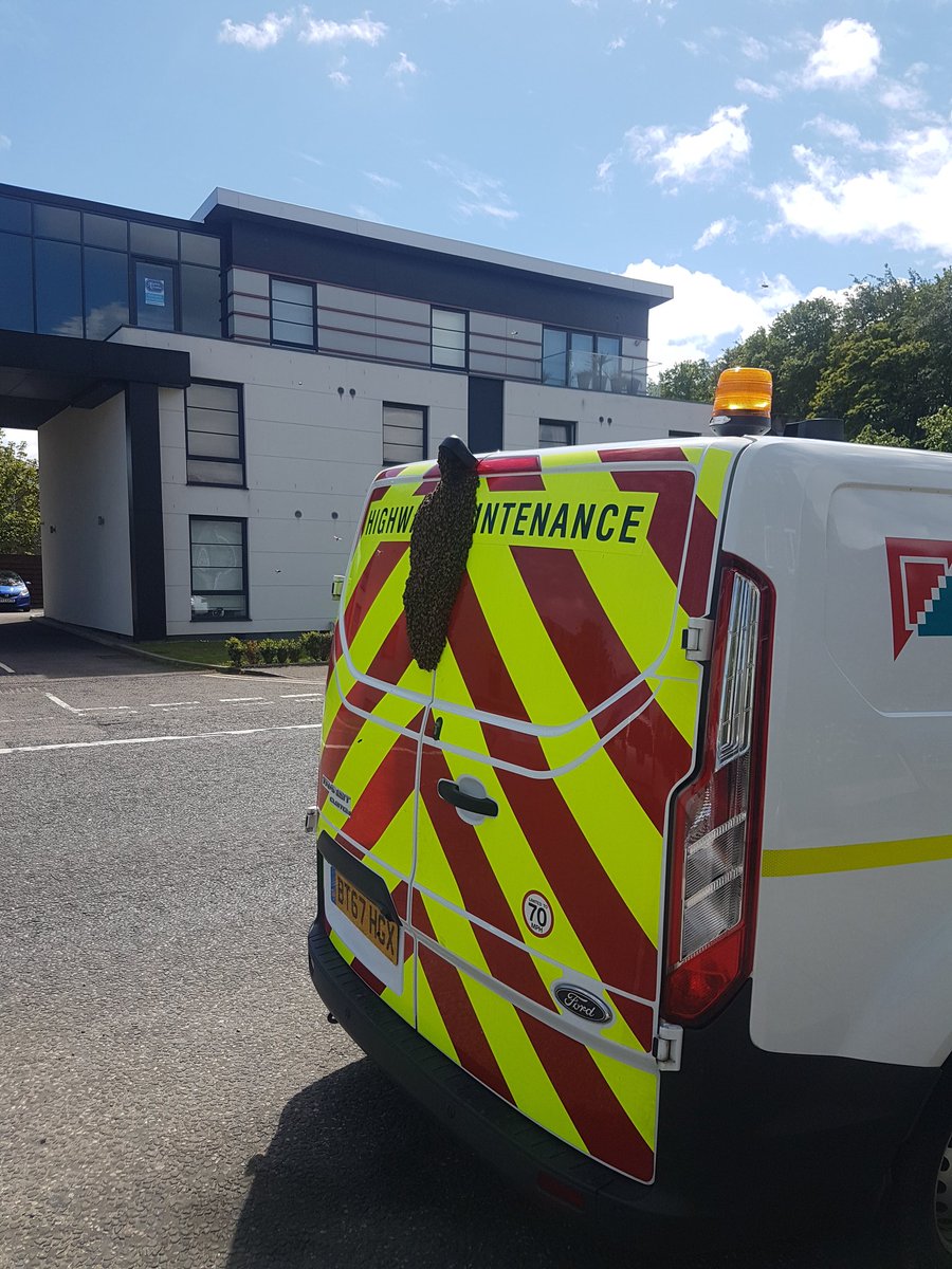 And finally... Bees swarm Aberdeen work van