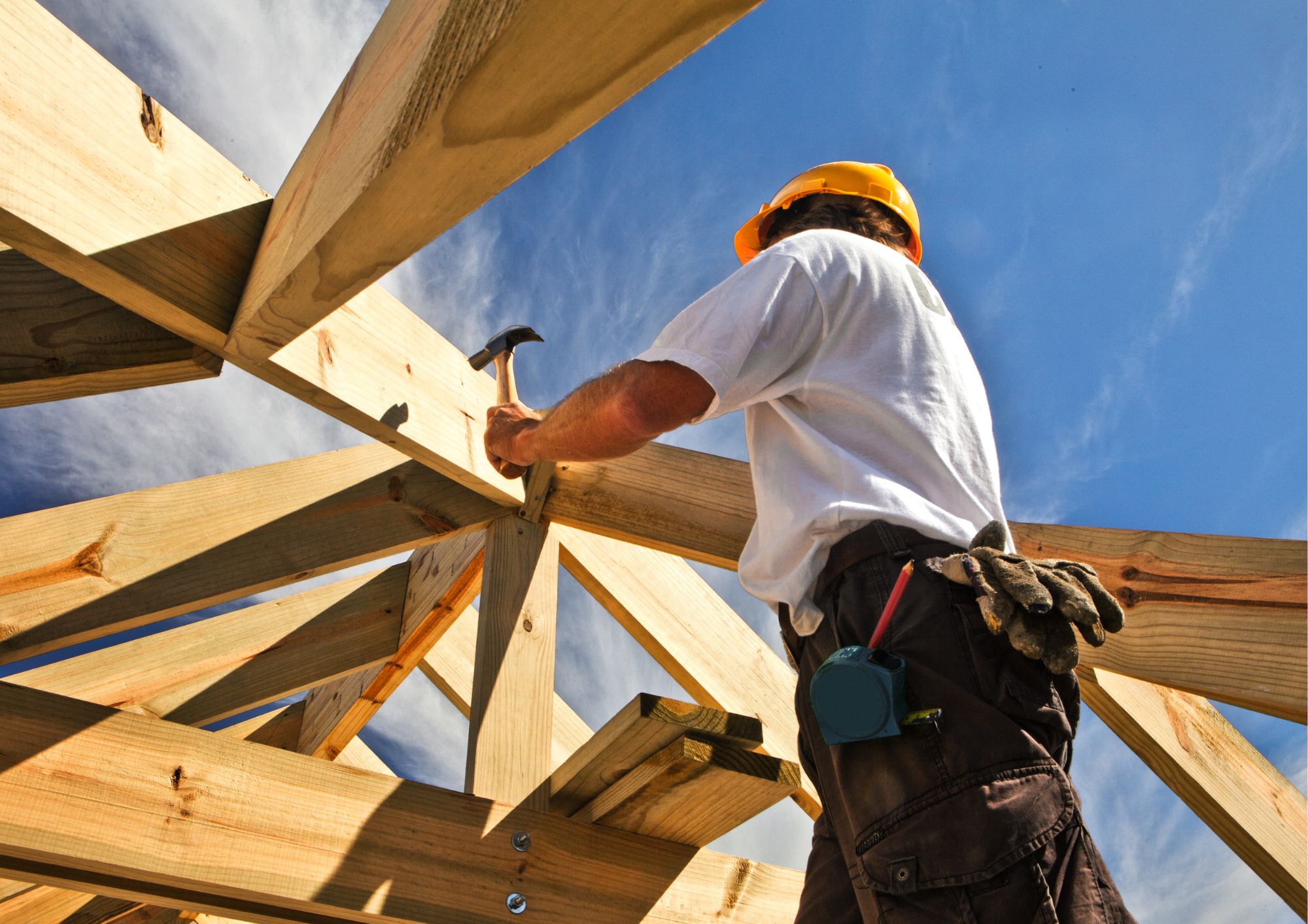 Action plan launched to boost timber construction skills