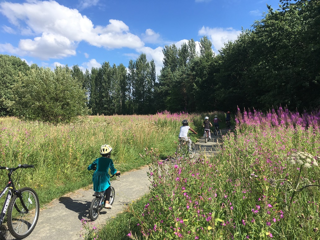 Clyde Gateway to transform Malls Mire into 'woodland retreat'