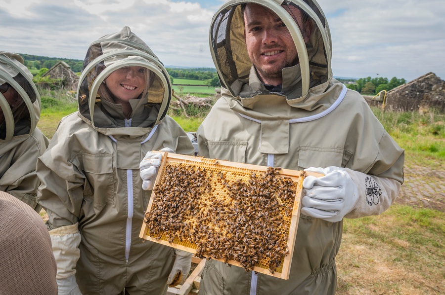 And finally... bee kind