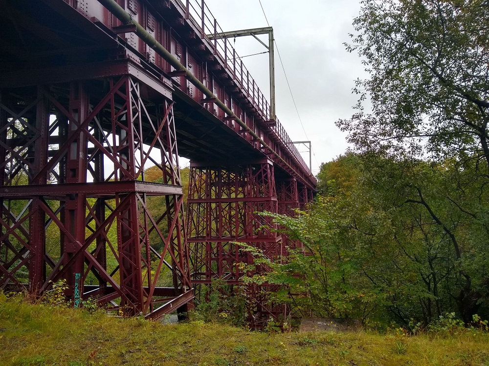Ravenscraig woodlands plans to be opened to public