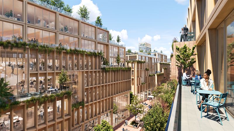 And finally... Sweden to build 'world's largest wooden city'