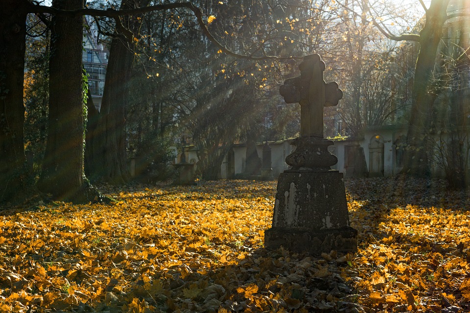 Plans submitted for new Coldstream cemetery