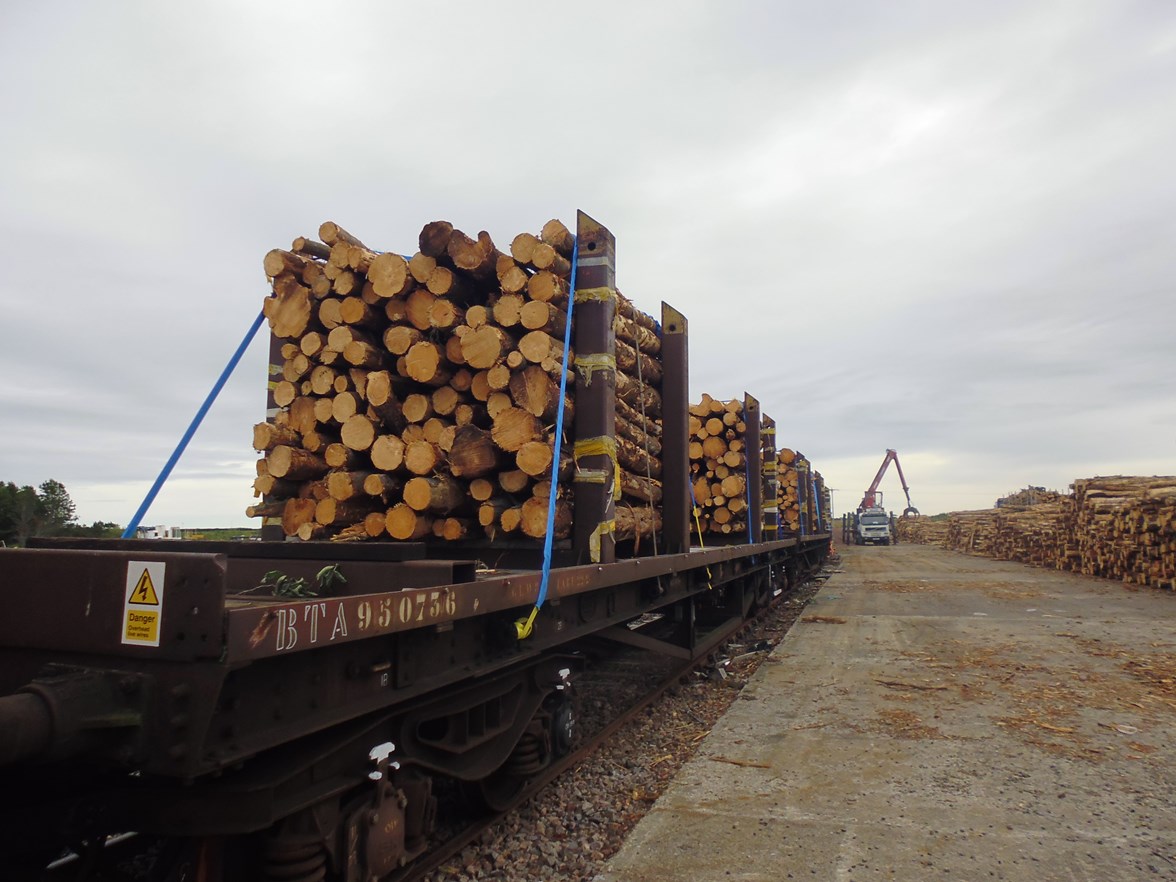 Funding for timber rail freight pilot