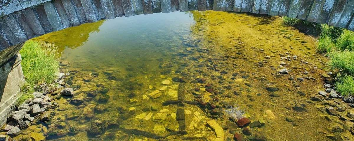 And finally.... ‘Lost’ medieval bridge discovered beneath River Teviot