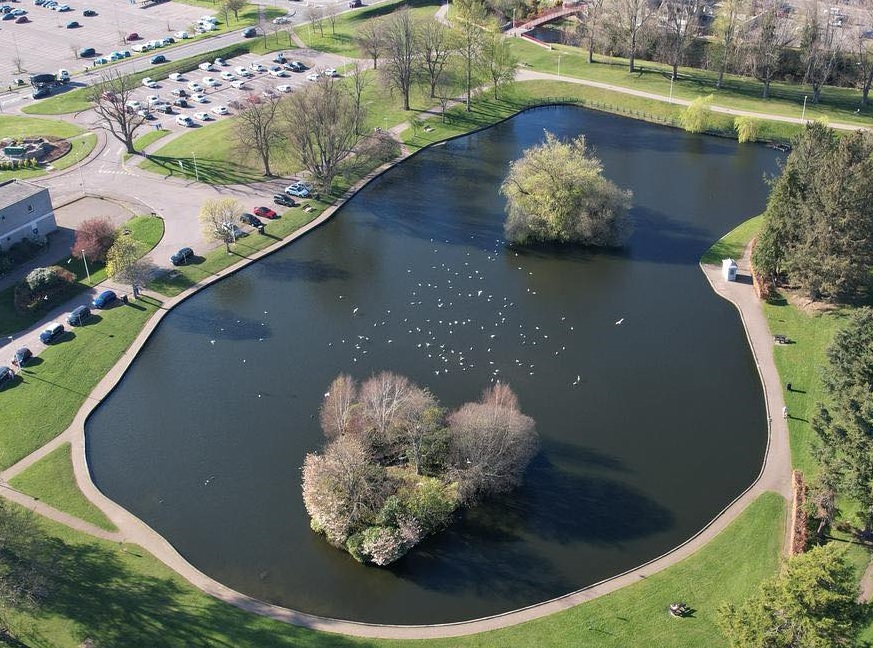 Pat Munro to begin drainage investigation works at Elgin park