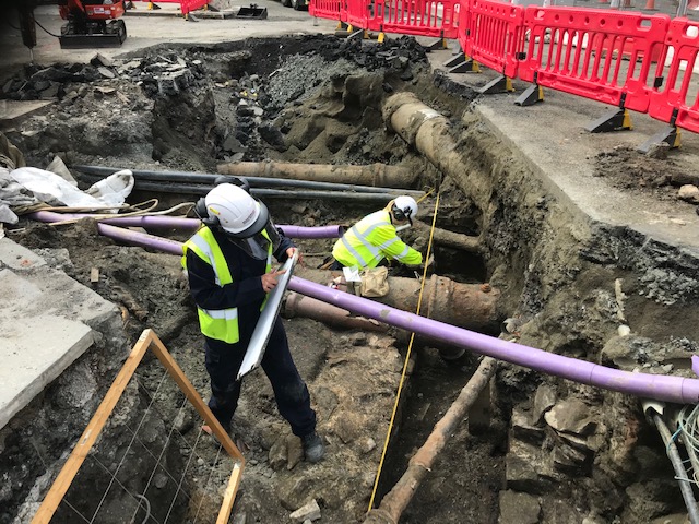 And finally... Rare whale bones uncovered in tram project excavations