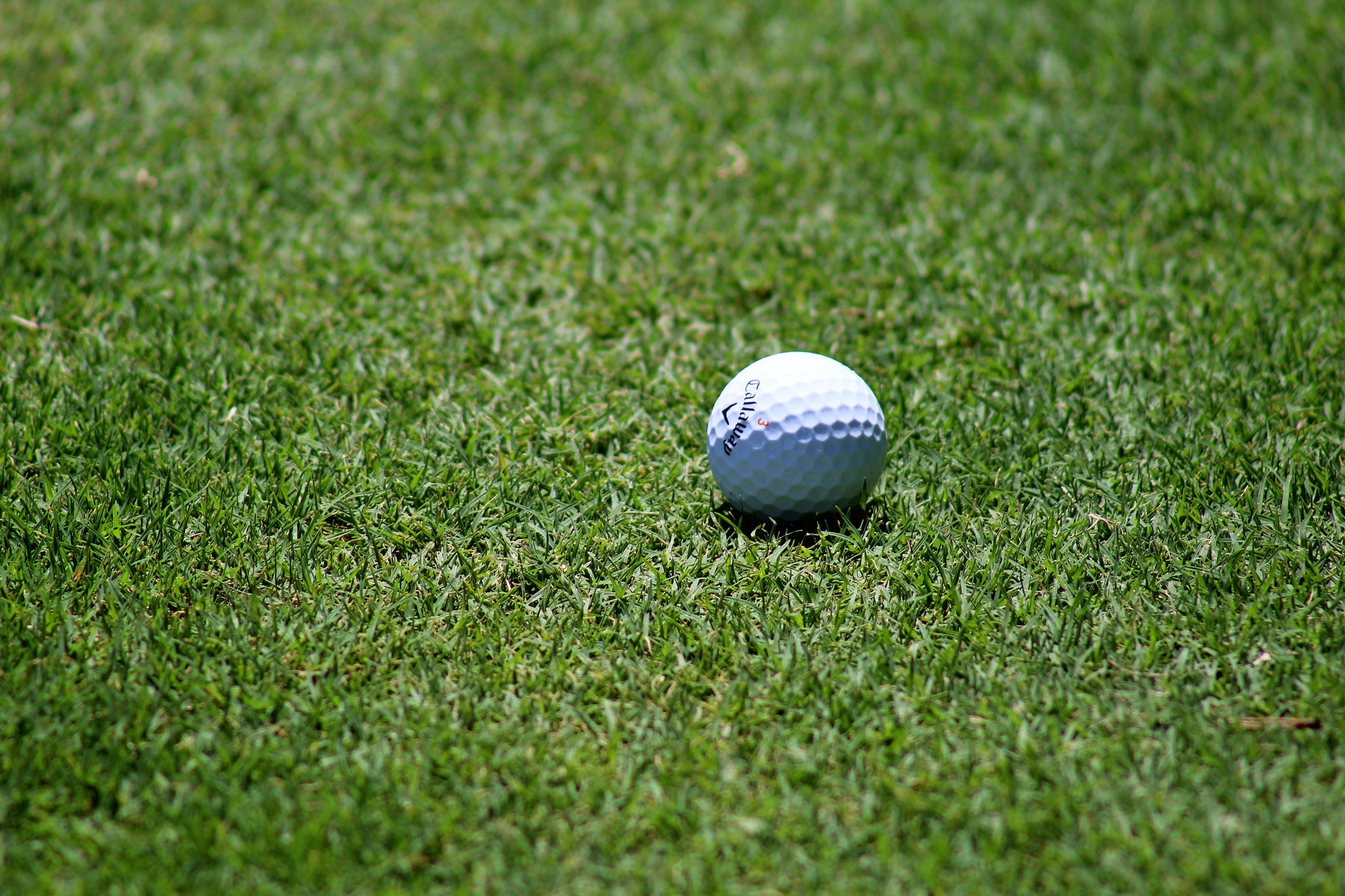 South Ayrshire Council approves plans for Belleisle Golf Club