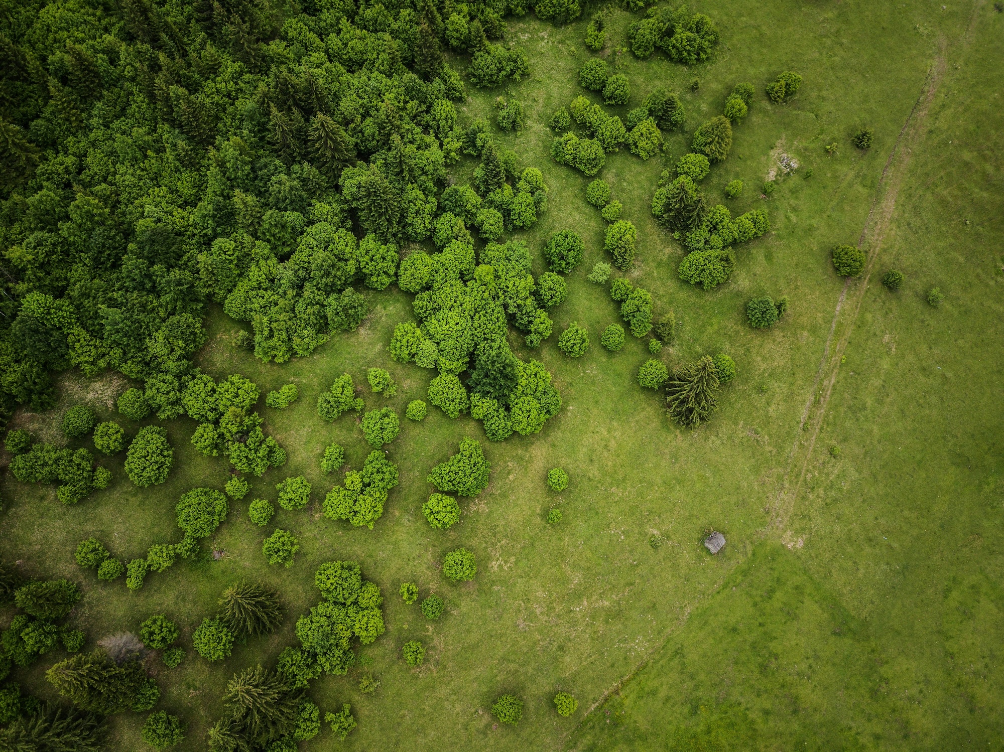 And finally... naturally