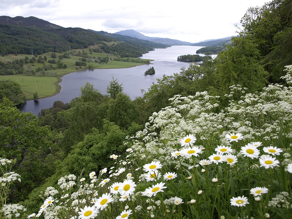 Scottish planners issue post-Brexit environmental standards warning