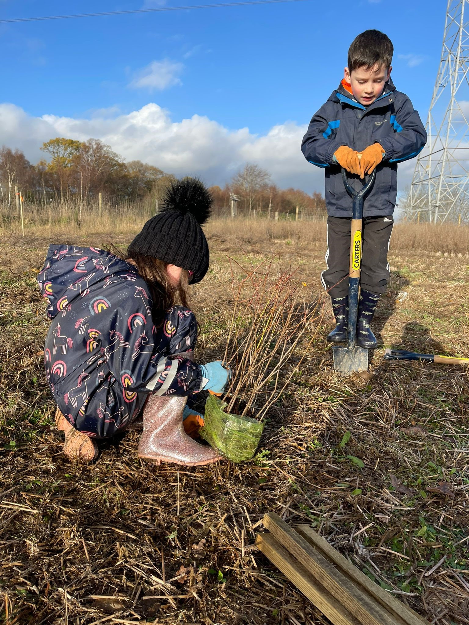 Cross Tay Link Road helps rewilding of Denmarkfield