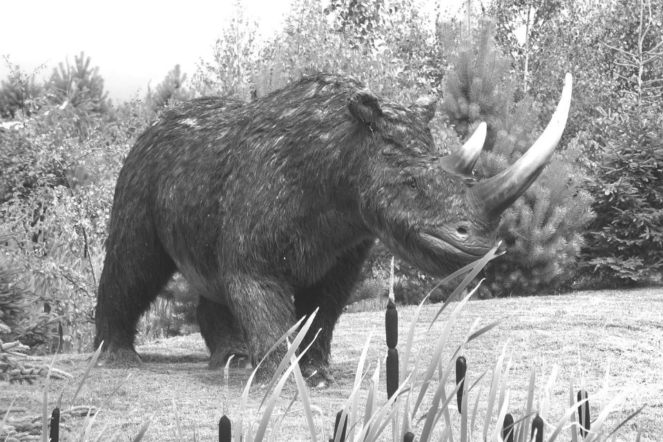 And finally... Mammoth discovery made on UK road improvement programme